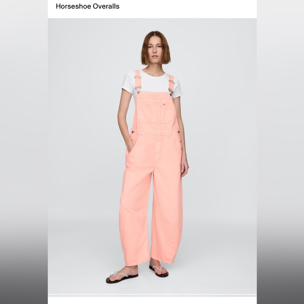 NWT GAP Horseshoe Overalls